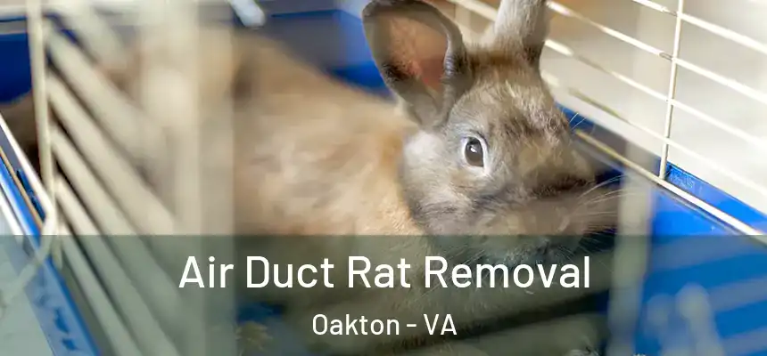 Air Duct Rat Removal Oakton - VA