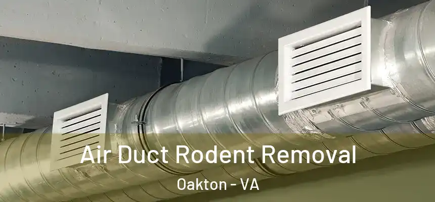 Air Duct Rodent Removal Oakton - VA