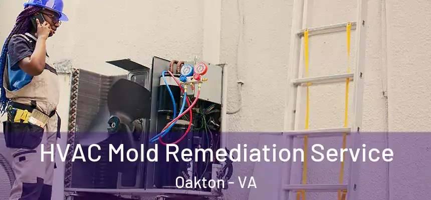  HVAC Mold Remediation Service Oakton - VA
