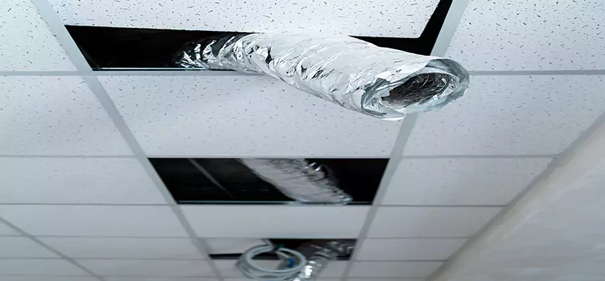 Affordable HVAC Sanitizing After Pest Removal in Oakton