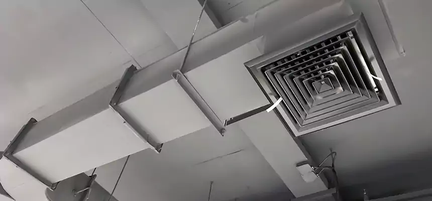 Restorative Allergy Relief Vent Cleaning – Coil, Blower & Housing Detail in Oakton