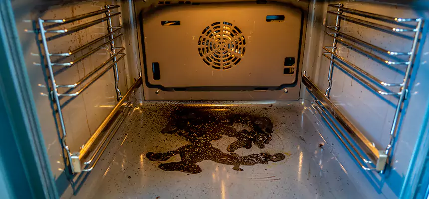 Our Dryer Vent Mold Cleaning Services in Oakton, VA