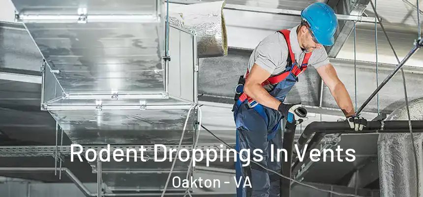  Rodent Droppings In Vents Oakton - VA