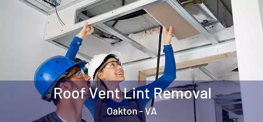  Roof Vent Lint Removal Oakton - VA