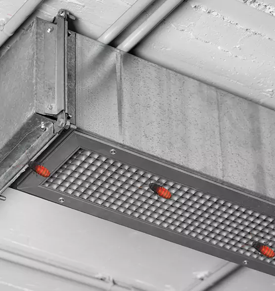 About Air Duct Cockroach Removal in Oakton, VA