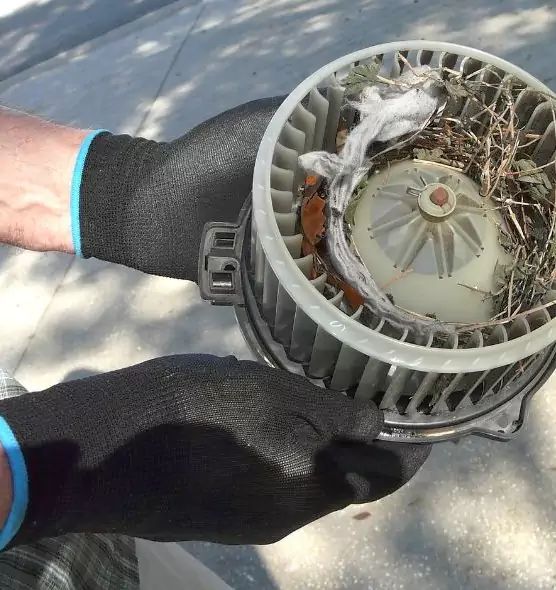 About Air Duct Mice Removal in Oakton, VA