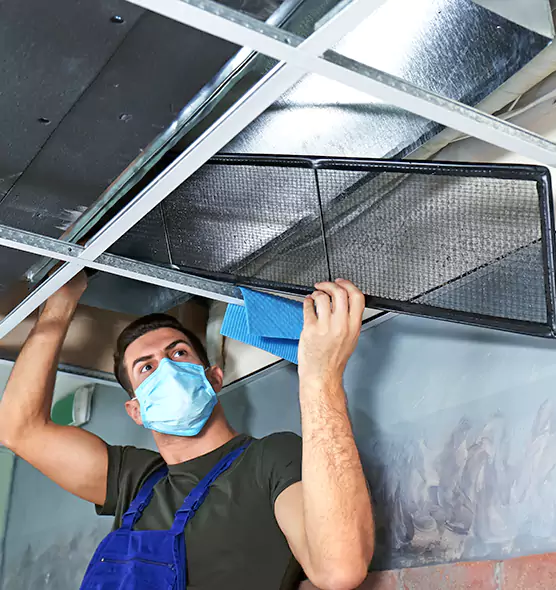 Professional Air Duct Pollen Cleaning in Oakton, VA