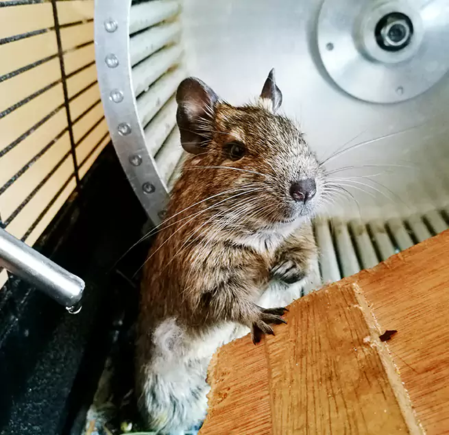 Why Homeowners & Businesses Trust Us Oakton, VA